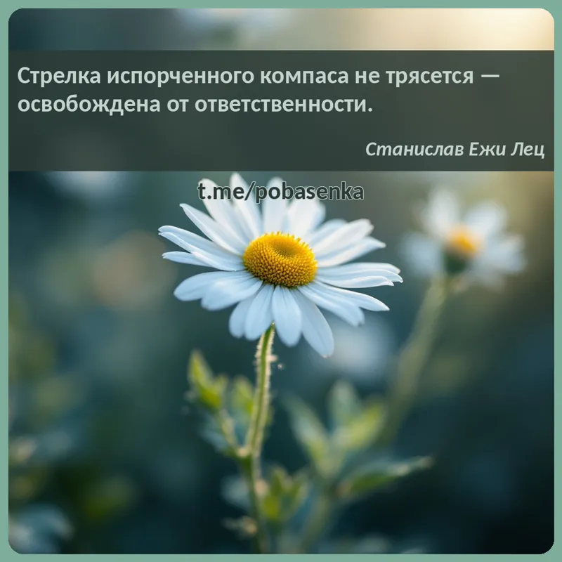 «Стрелка испорченного компаса не трясется — освобождена от...» height="550" width="550"