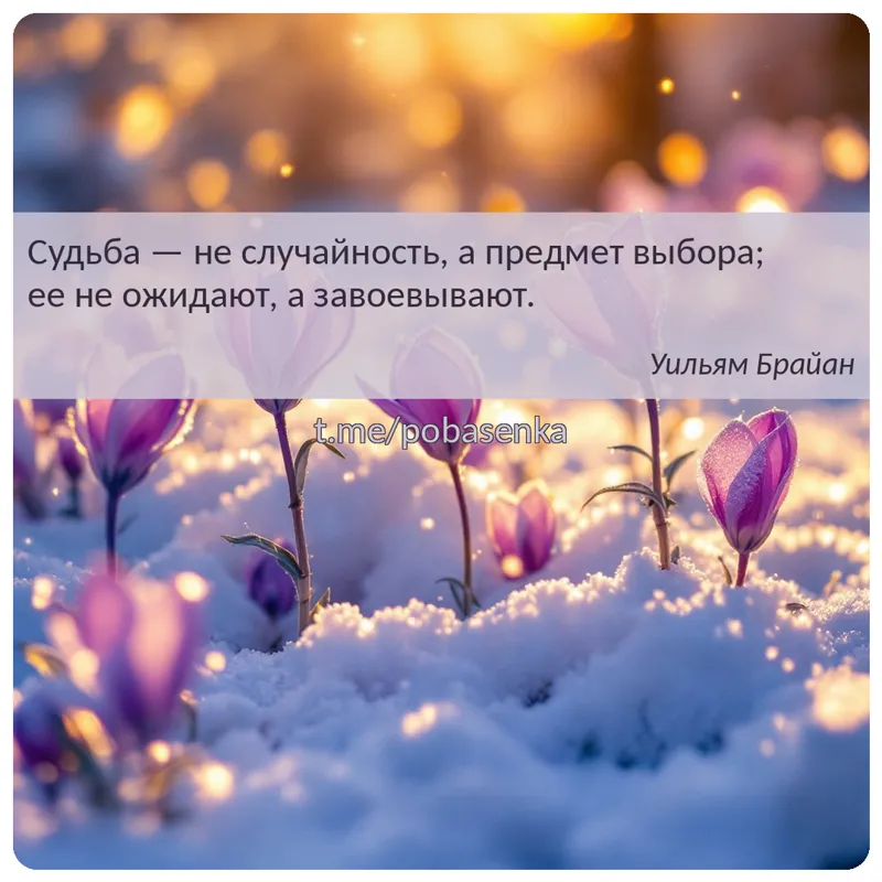 «Судьба — не случайность, а предмет выбора; ее не ожидают, а...» height="550" width="550"