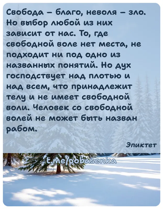 «Свобода благо, неволя зло. Но выбор любой из них зависит от нас. То, где свободной воле нет места, не подходит ни под одно...» height="550" width="550"
