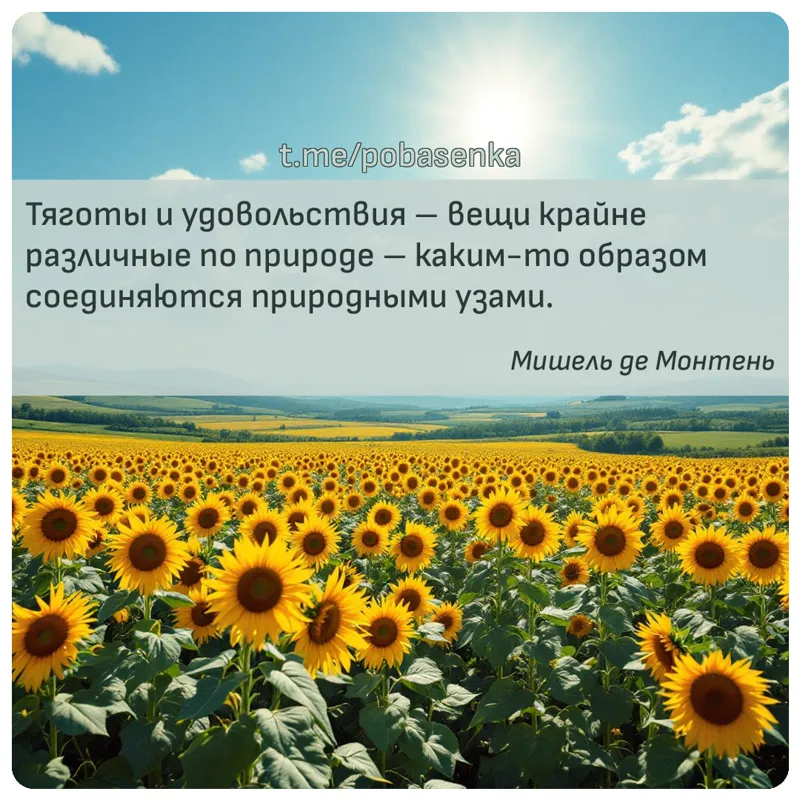 «Тяготы и удовольствия вещи крайне различные по природе каким то образом соединяются природными...» height="550" width="550"