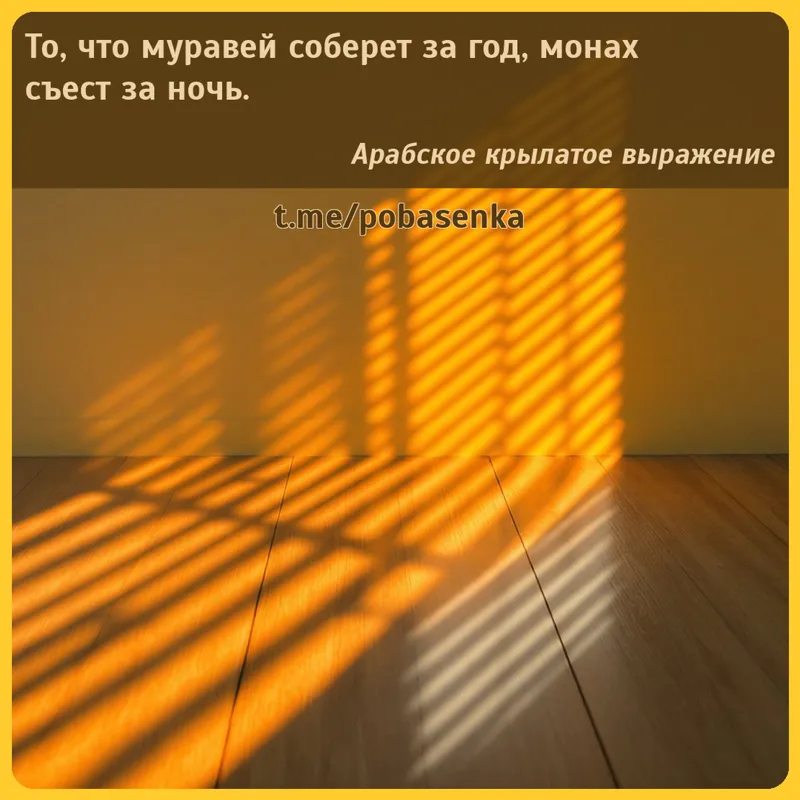 «То, что муравей соберет за год, монах съест за...» height="550" width="550"