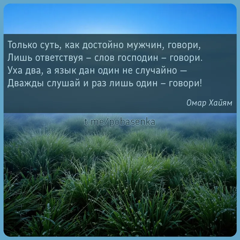 «Только суть, как достойно мужчин, говори, Лишь ответствуя слов господин говори. Уха два, а язык дан один не случайно —...» height="550" width="550"