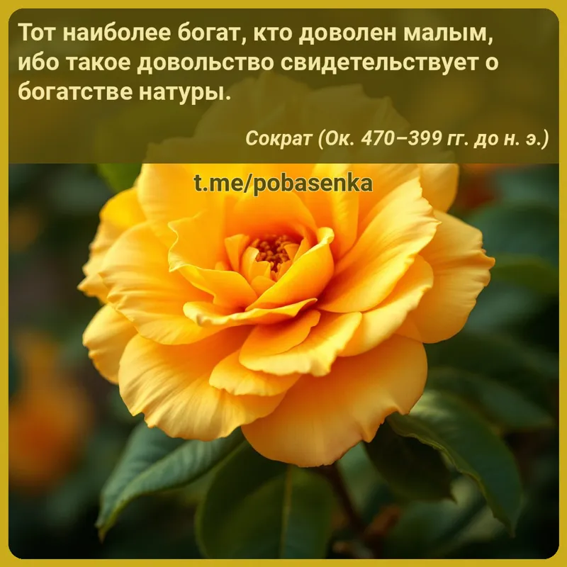 «Тот наиболее богат, кто доволен малым, ибо такое довольство свидетельствует о богатстве...» height="550" width="550"