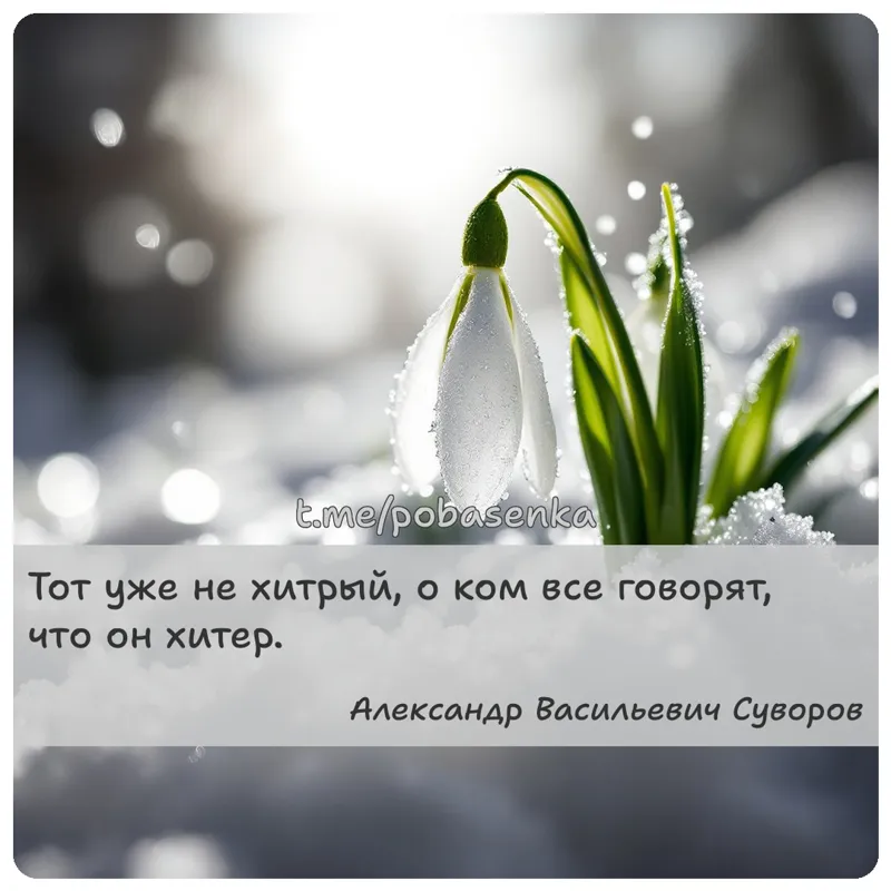 «Тот уже не хитрый, о ком все говорят, что он...» height="550" width="550"