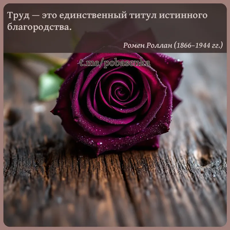 «Труд — это единственный титул истинного...» height="550" width="550"