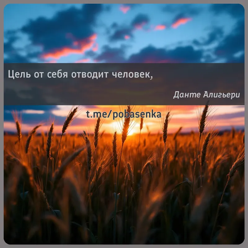 «Цель от себя отводит...» height="550" width="550"