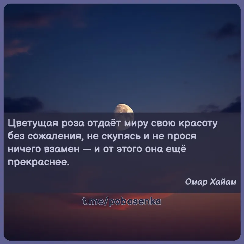 «Цветущая роза отдаёт миру свою красоту без сожаления, не скупясь и не прося ничего взамен — и от этого она ещё...» height="550" width="550"