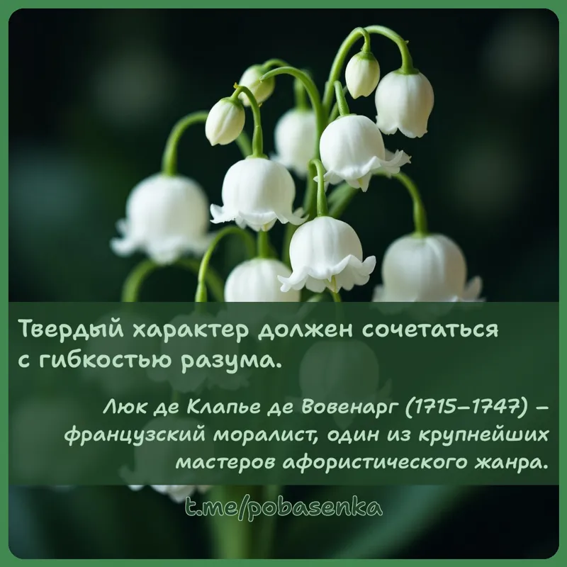«Твердый характер должен сочетаться с гибкостью...» height="550" width="550"