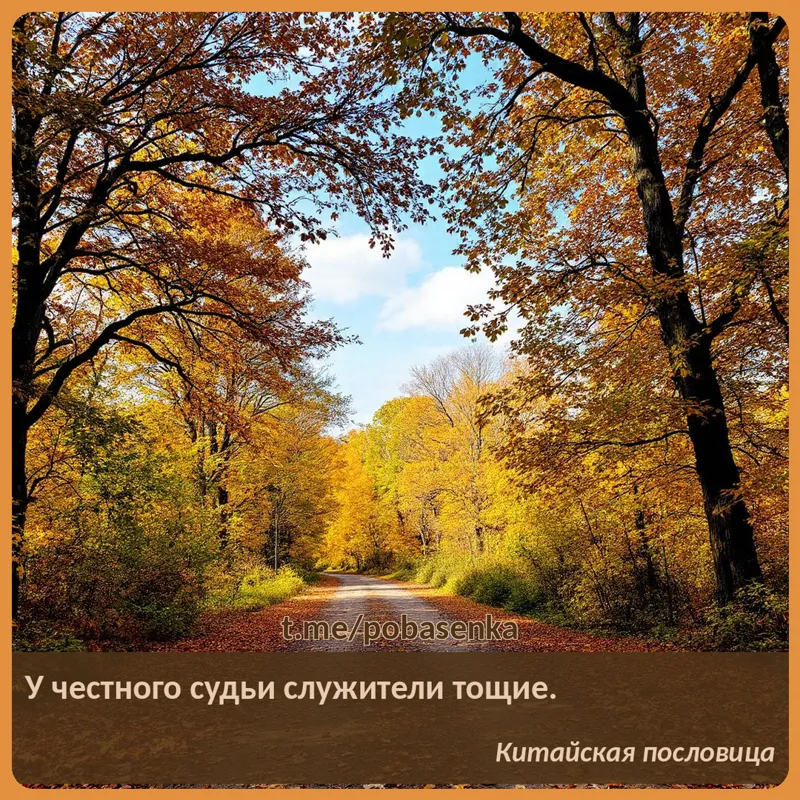 «У честного судьи служители...» height="550" width="550"