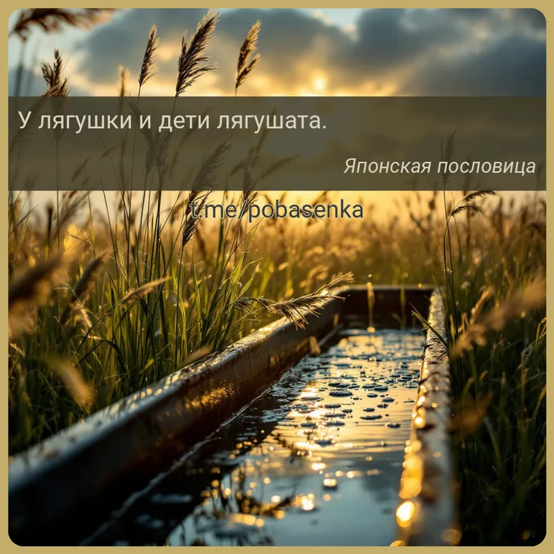 «У лягушки и дети...» height="550" width="550"