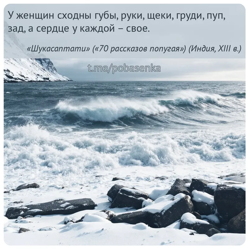 «У женщин сходны губы, руки, щеки, груди, пуп, зад, а сердце у каждой...» height="550" width="550"