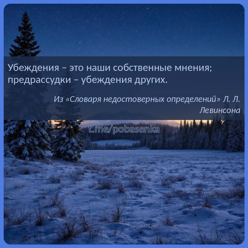 «Убеждения это наши собственные мнения; предрассудки убеждения...» height="550" width="550"