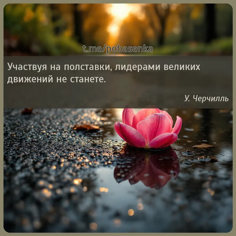 «Участвуя на полставки, лидерами великих движений не...» height="550" width="550"