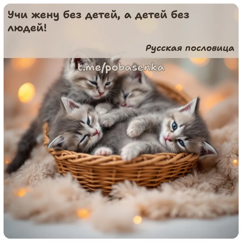 «Учи жену без детей, а детей без...» height="550" width="550"