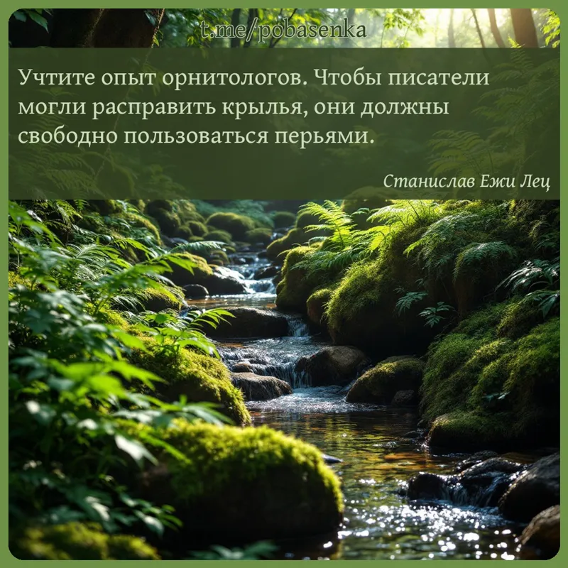 «Учтите опыт орнитологов. Чтобы писатели могли расправить крылья, они должны свободно пользоваться...» height="550" width="550"