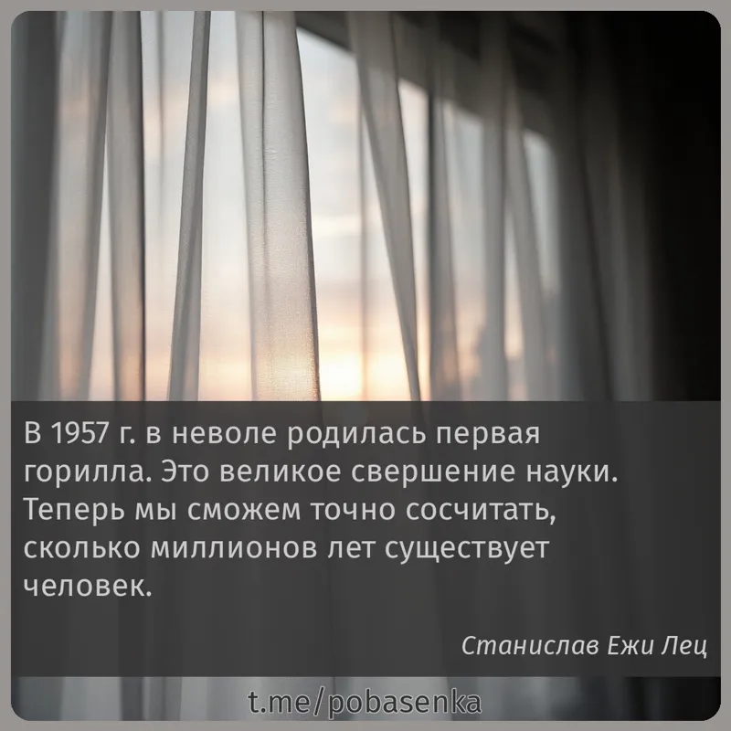 «В г. в неволе родилась первая горилла. Это великое свершение науки. Теперь мы сможем точно сосчитать, сколько миллионов лет...» height="550" width="550"
