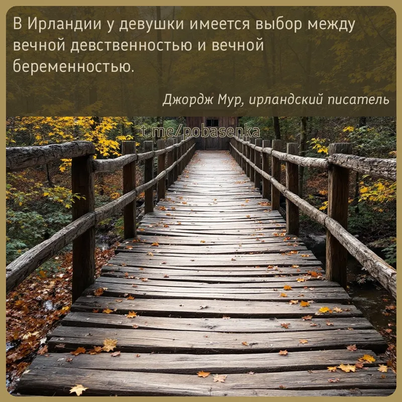 «В Ирландии у девушки имеется выбор между вечной девственностью и вечной...» height="550" width="550"