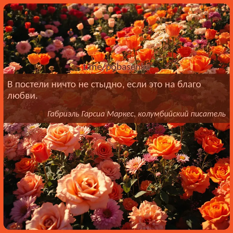 «В постели ничто не стыдно, если это на благо...» height="550" width="550"