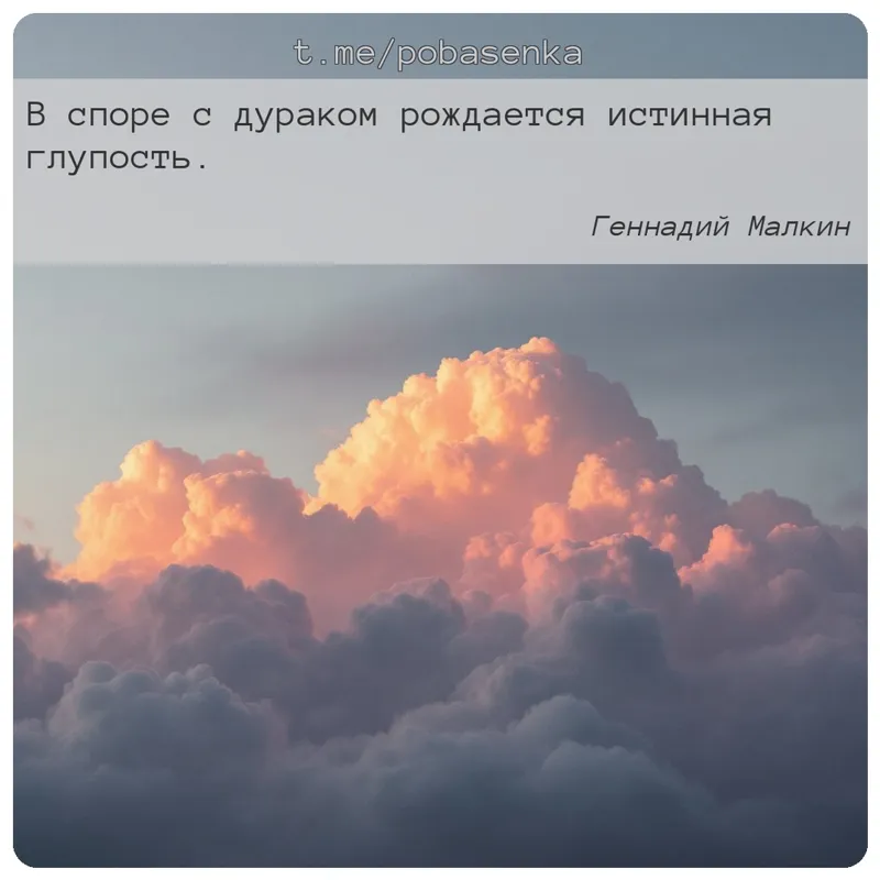 «В споре с дураком рождается истинная...» height="550" width="550"