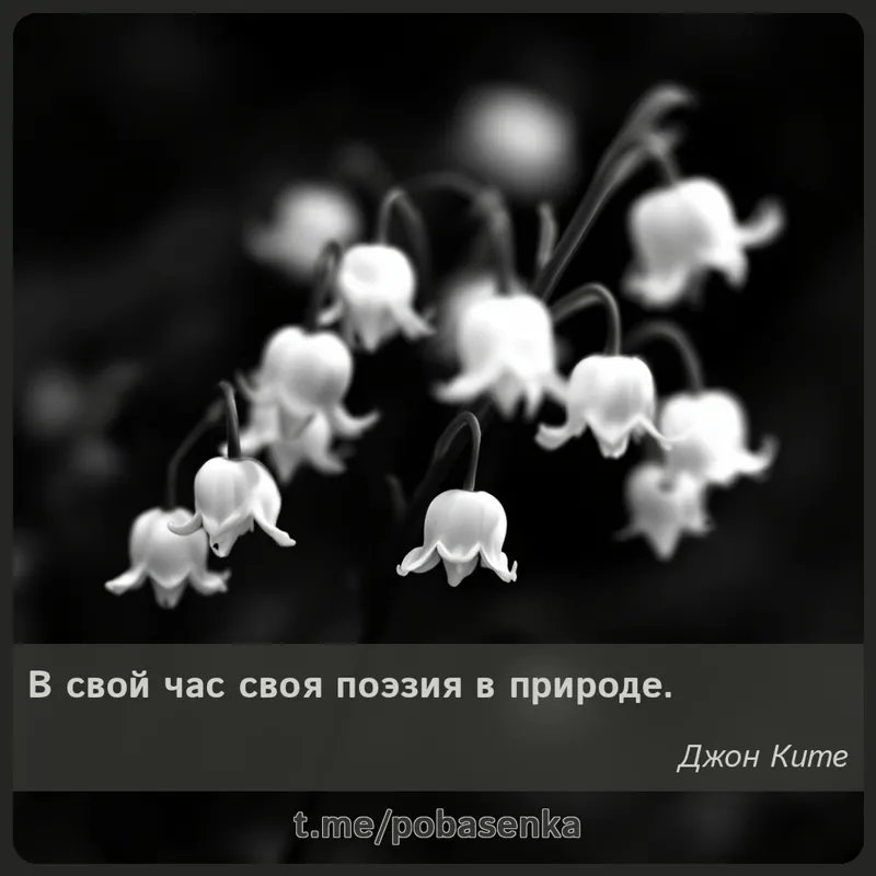 «В свой час своя поэзия в...» height="550" width="550"