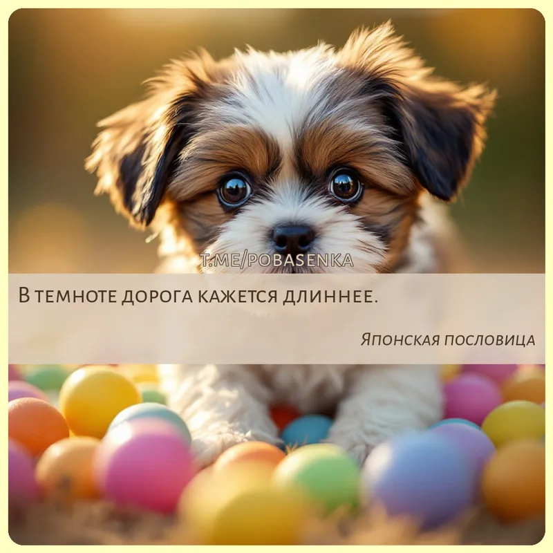 «В темноте дорога кажется...» height="550" width="550"