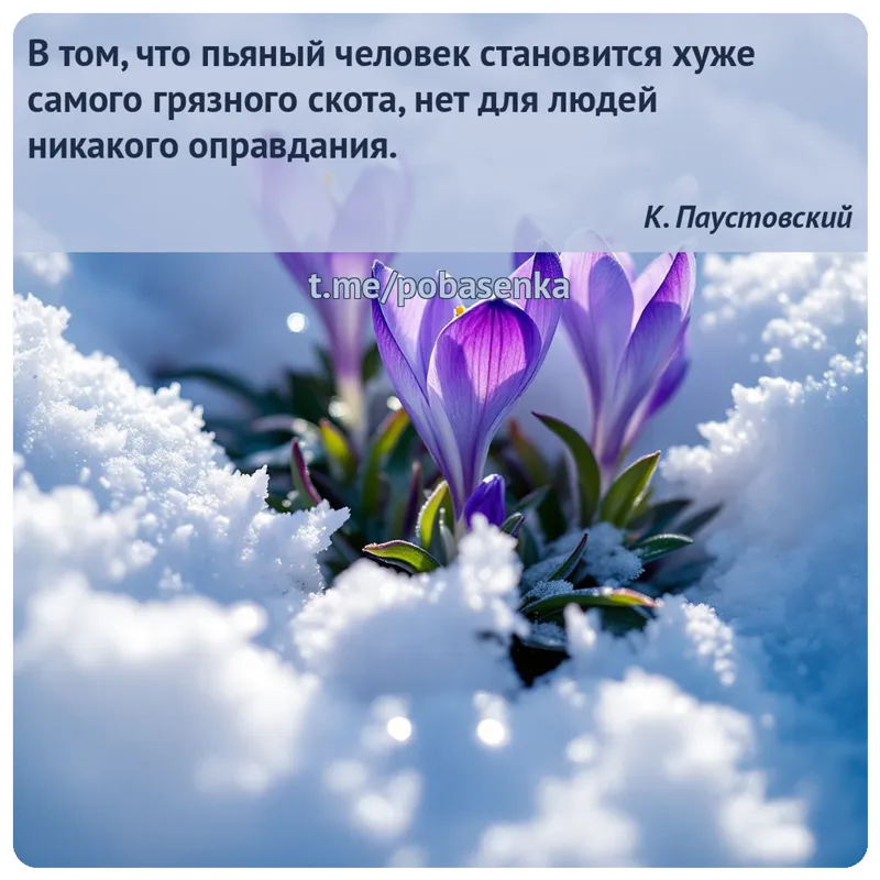 «В том, что пьяный человек становится хуже самого грязного скота, нет для людей никакого...» height="550" width="550"