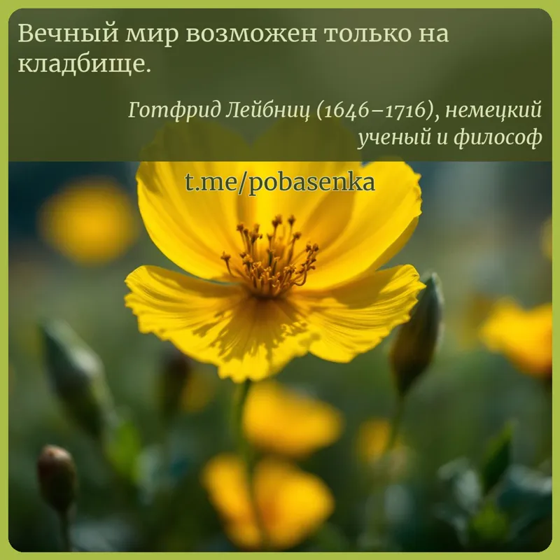 «Вечный мир возможен только на...» height="550" width="550"