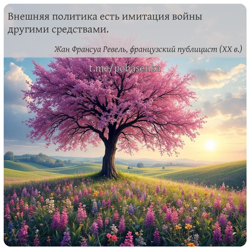 «Внешняя политика есть имитация войны другими...» height="550" width="550"