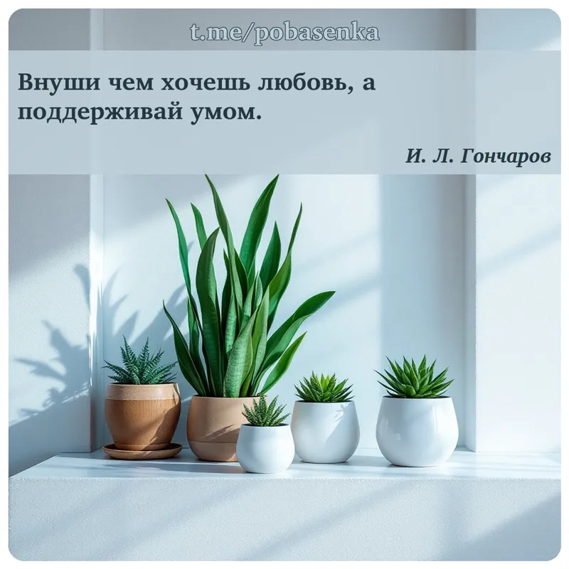 «Внуши чем хочешь любовь, а поддерживай...» height="550" width="550"