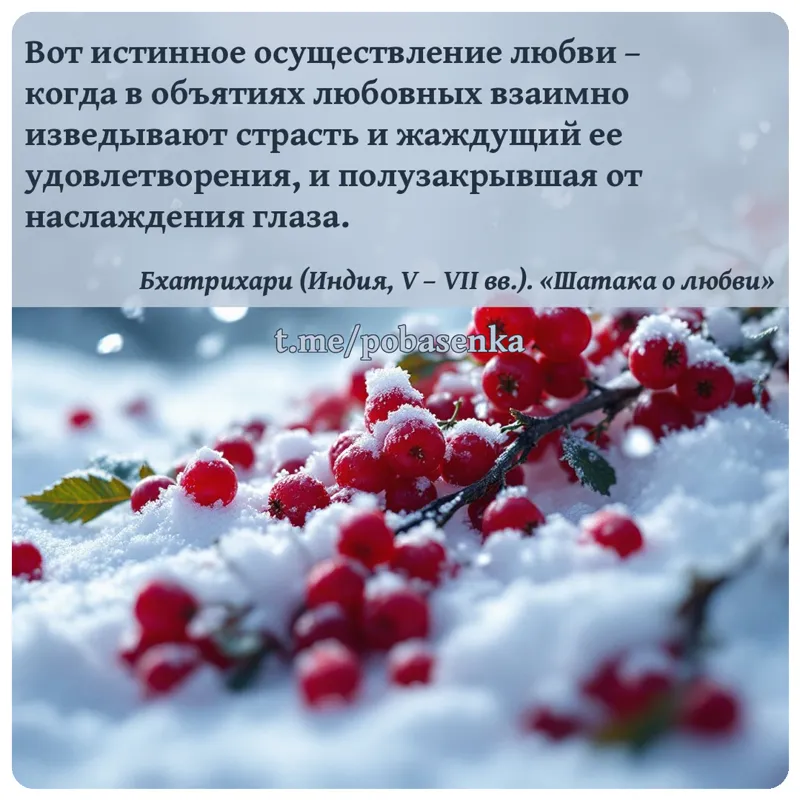 «Вот истинное осуществление любви когда в объятиях любовных взаимно изведывают страсть и жаждущий ее удовлетворения, и...» height="550" width="550"