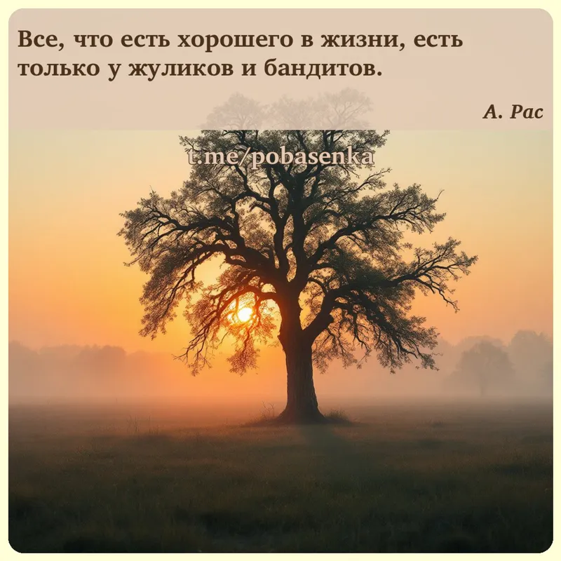 «Все, что есть хорошего в жизни, есть только у жуликов и...» height="550" width="550"