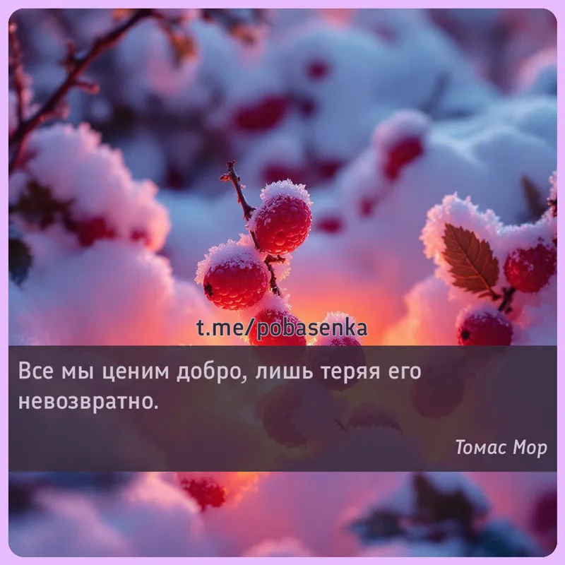 «Все мы ценим добро, лишь теряя его...» height="550" width="550"