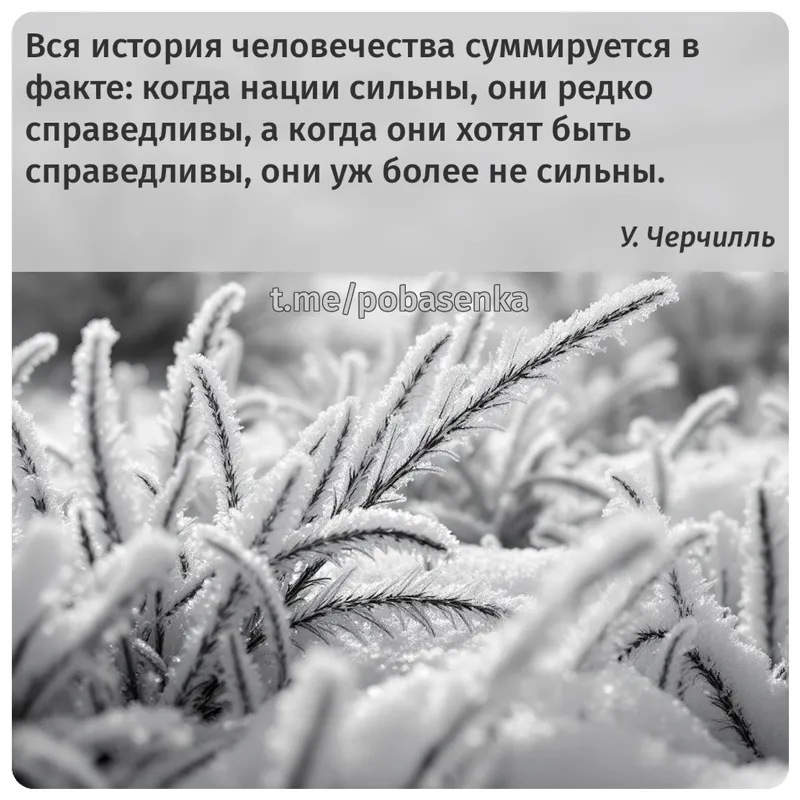 «Вся история человечества суммируется в факте когда нации сильны, они редко справедливы, а когда они хотят быть справедливы,...» height="550" width="550"