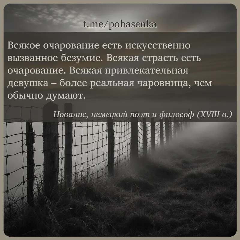 «Всякое очарование есть искусственно вызванное безумие. Всякая страсть есть очарование. Всякая привлекательная девушка более...» height="550" width="550"