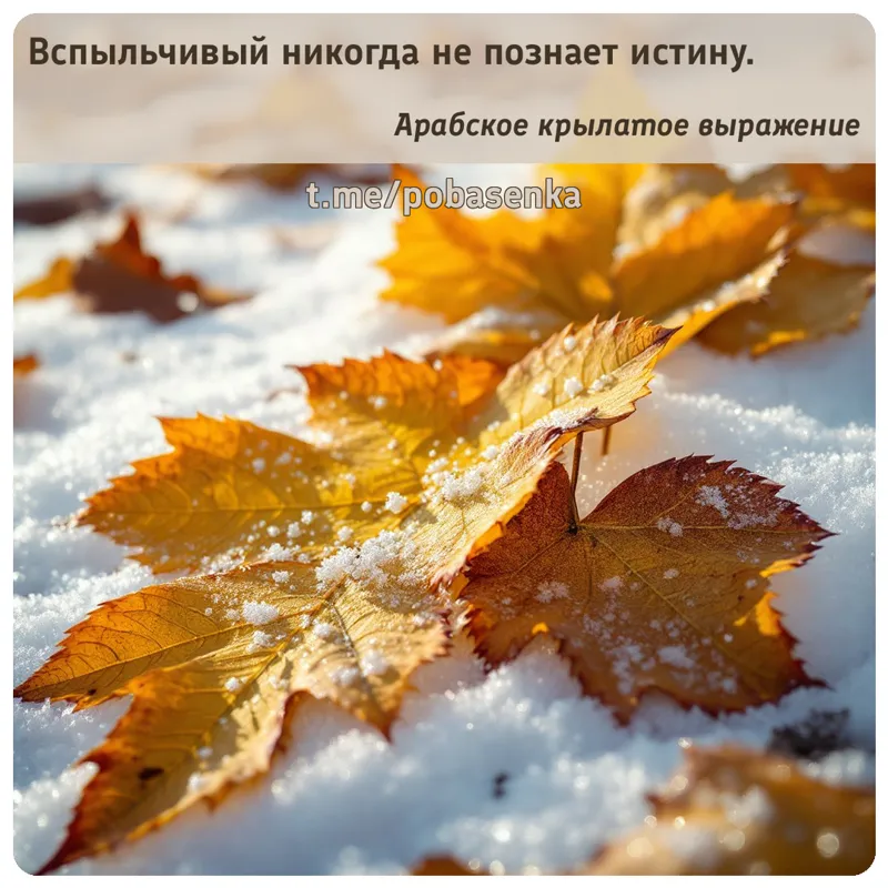 «Вспыльчивый никогда не познает...» height="550" width="550"