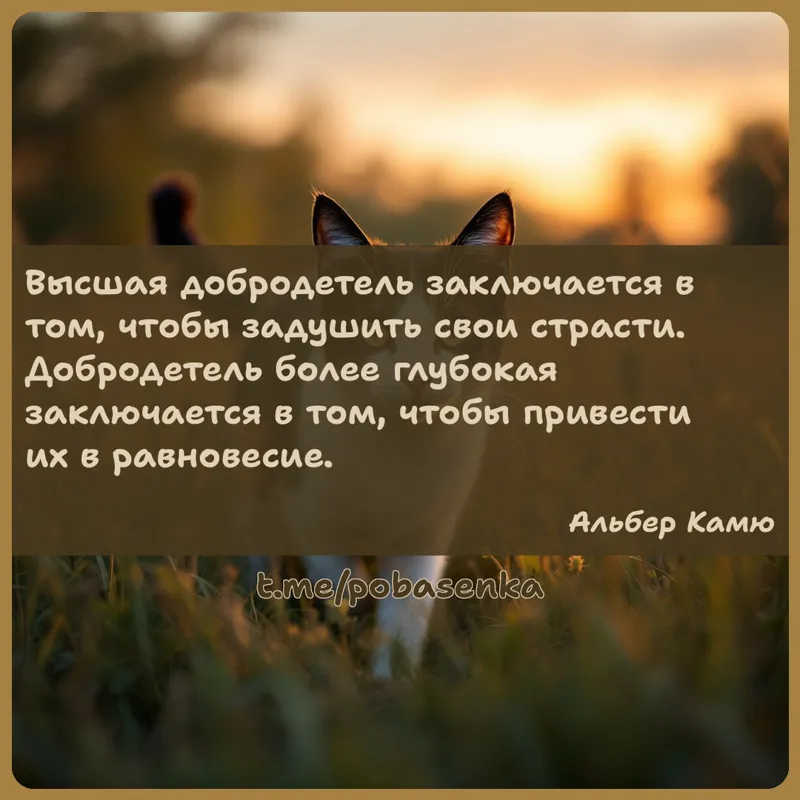 «Высшая добродетель заключается в том, чтобы задушить свои страсти. Добродетель более глубокая заключается в том, чтобы...» height="550" width="550"