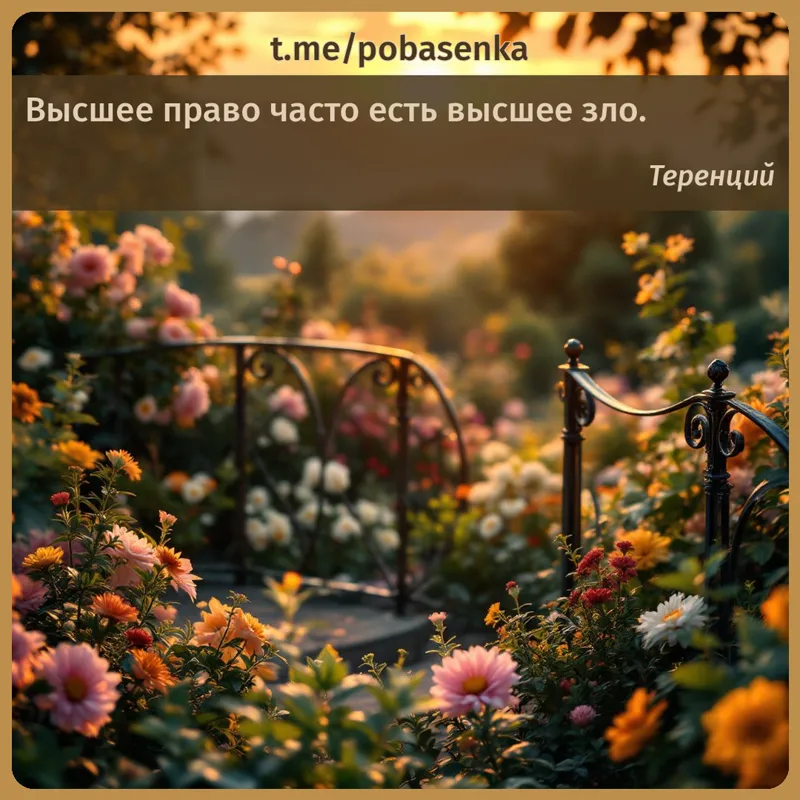 «Высшее право часто есть высшее...» height="550" width="550"