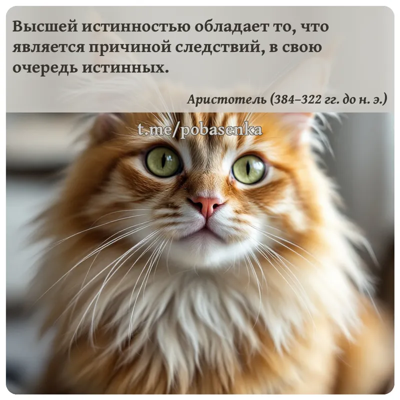 «Высшей истинностью обладает то, что является причиной следствий, в свою очередь...» height="550" width="550"