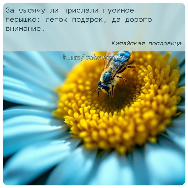 «За тысячу ли прислали гусиное перышко легок подарок, да дорого...» height="550" width="550"