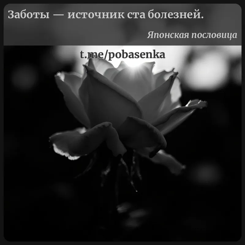 «Заботы — источник ста...» height="550" width="550"