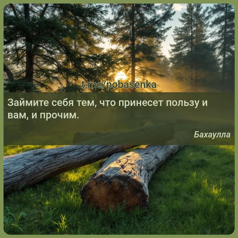 «Займите себя тем, что принесет пользу и вам, и...» height="550" width="550"