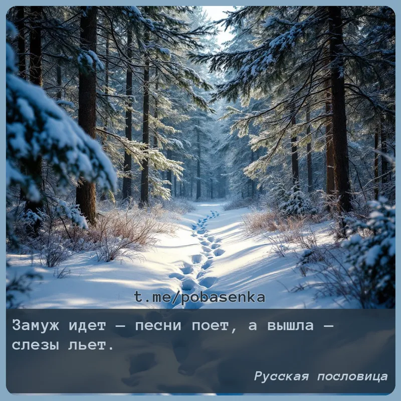 «Замуж идет — песни поет, а вышла — слезы...» height="550" width="550"