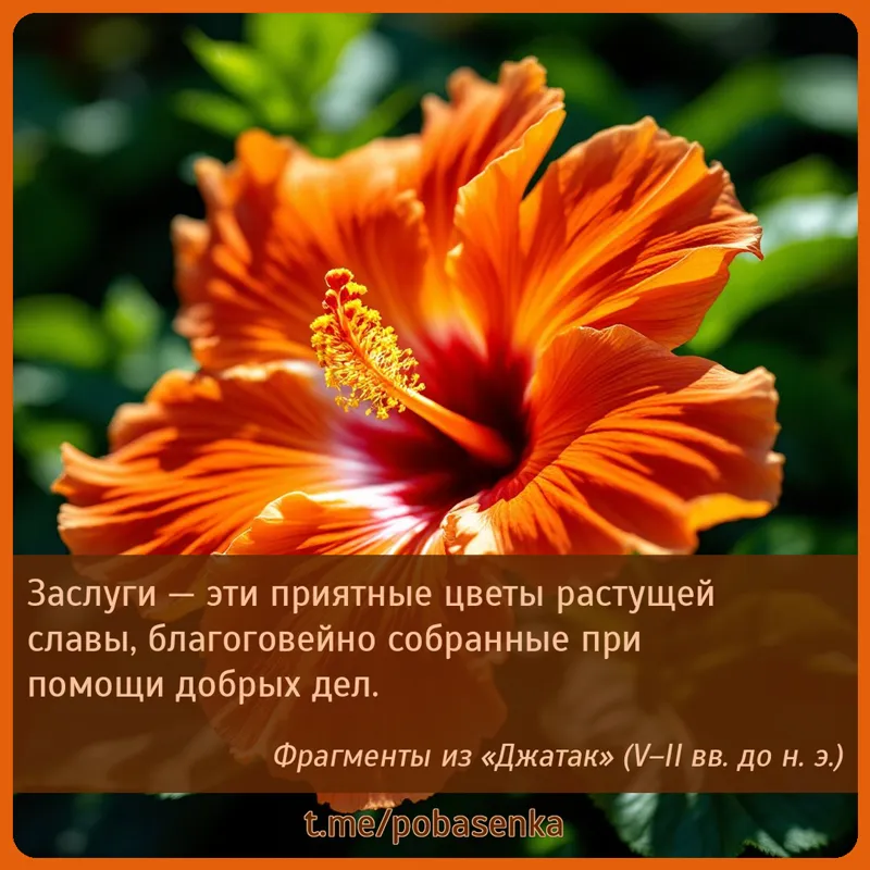 «Заслуги — эти приятные цветы растущей славы, благоговейно собранные при помощи добрых...» height="550" width="550"