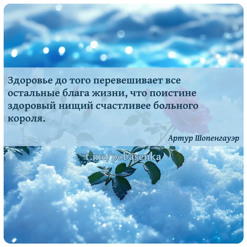 «Здоровье до того перевешивает все остальные блага жизни, что поистине здоровый нищий счастливее больного...» height="550" width="550"