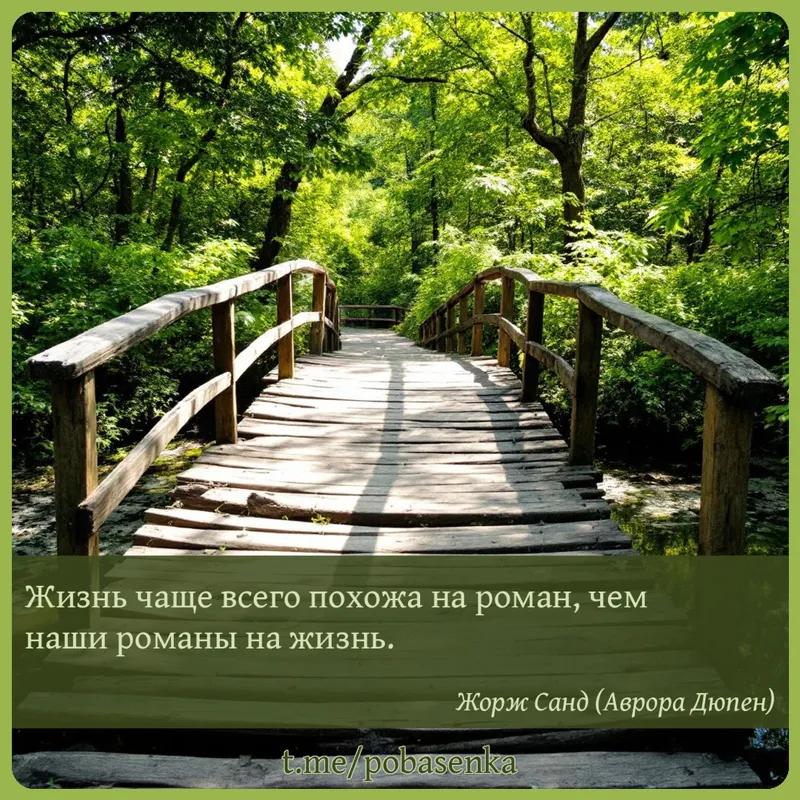 «Жизнь чаще всего похожа на роман, чем наши романы на...» height="550" width="550"