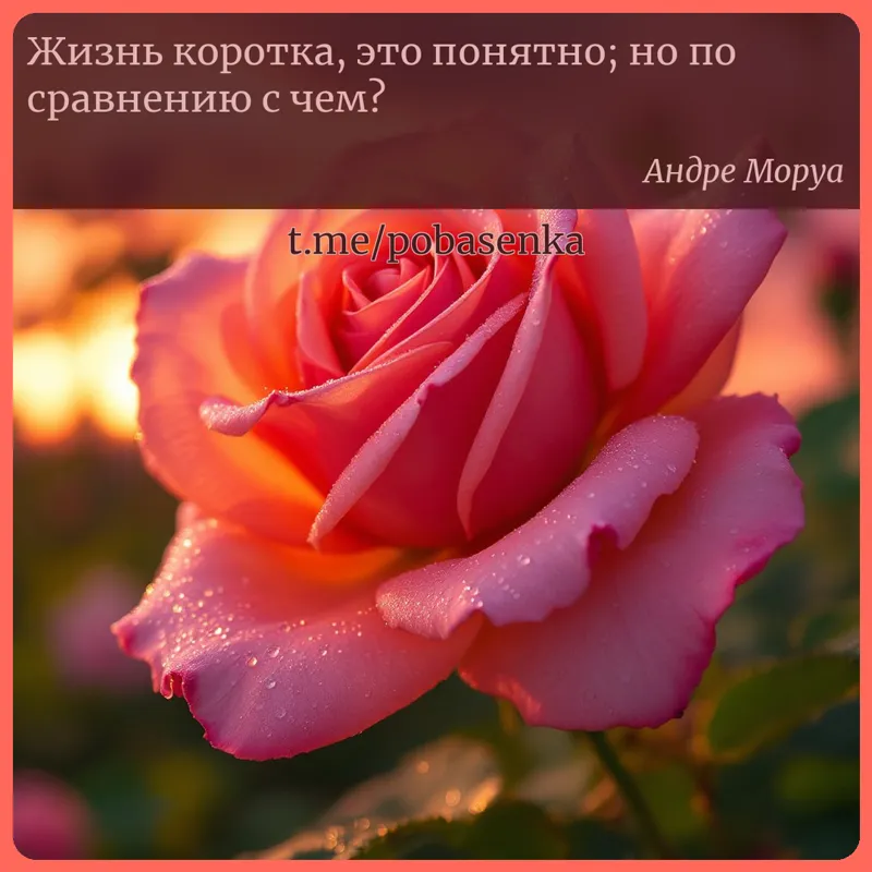«Жизнь коротка, это понятно; но по сравнению с...» height="550" width="550"