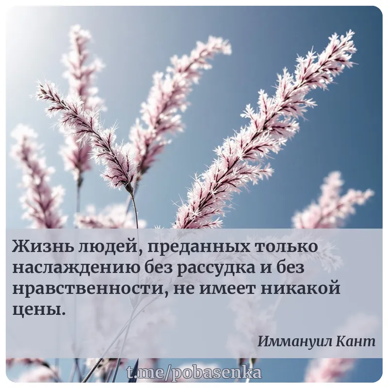 «Жизнь людей, преданных только наслаждению без рассудка и без нравственности, не имеет никакой...» height="550" width="550"
