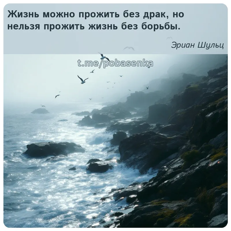 «Жизнь можно прожить без драк, но нельзя прожить жизнь без...» height="550" width="550"