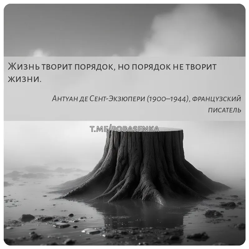 «Жизнь творит порядок, но порядок не творит...» height="550" width="550"