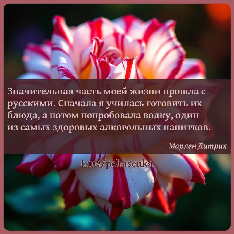 «Значительная часть моей жизни прошла с русскими. Сначала я училась готовить их блюда, а потом попробовала водку, один из...» height="550" width="550"